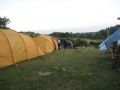 opvisning2011 011